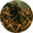 WvG