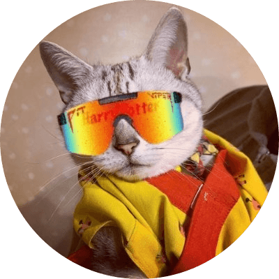 1CAT logo
