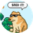 8-Doge