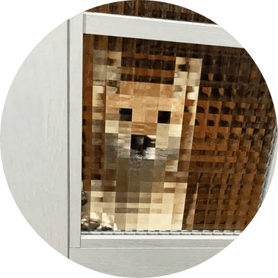 8bit dog logo