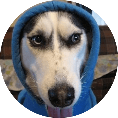 a dog in a hoodie logo