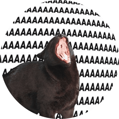 aaa cat logo