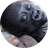 ABEO