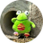 FROP