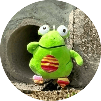 Adventures of Frop logo