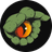 FEL