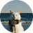 afk