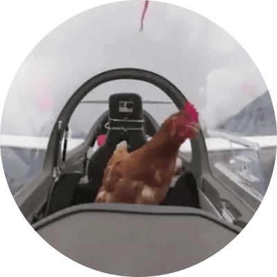 Airforce Chicken logo