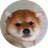AKI