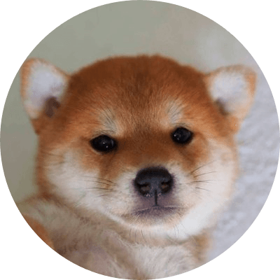 AKI logo