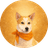 ALOKA