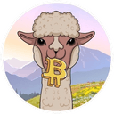 Alpaca