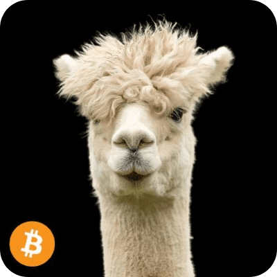 Alpaca  logo