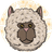 Alpaca