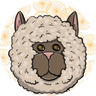 Alpaca