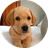 ANDY