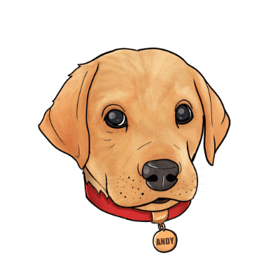 ANDY logo