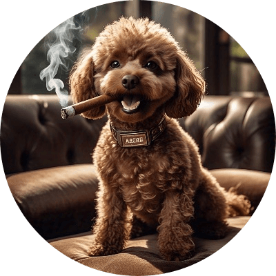 Archie the cigar poodle logo