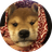 ARCHIE