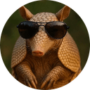 Armadillo Coin