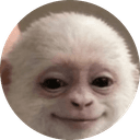 aryan monkey