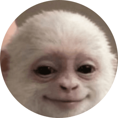 aryan monkey logo