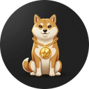 Aster INU