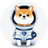 ASTEROID