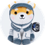 Asteroid The Space Shiba Inu