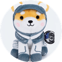 Asteroid The Space Shiba Inu