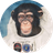 HAM