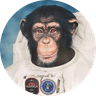 AstroChimp