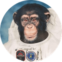 AstroChimp