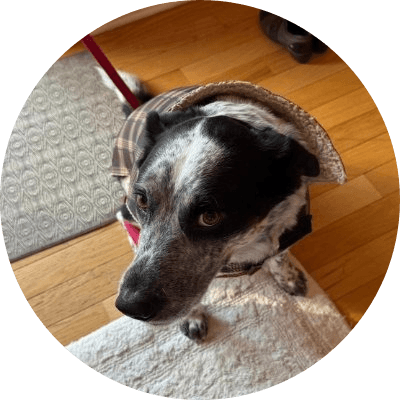 Axie Infinity Dog logo