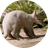 AARDY