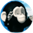 CHIMP