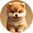BABYDOGE