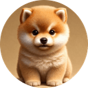 Baby Doge