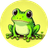 BabyFrog