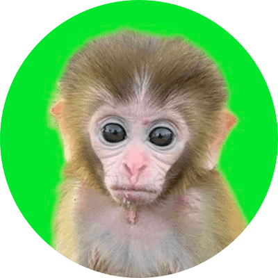 Baby Monkey logo