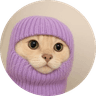 balaclava cat
