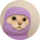 balaclava cat