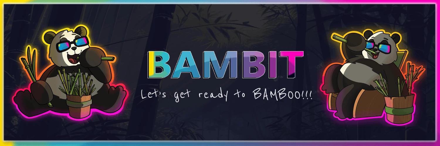 BAMBIT banner