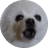 BARK