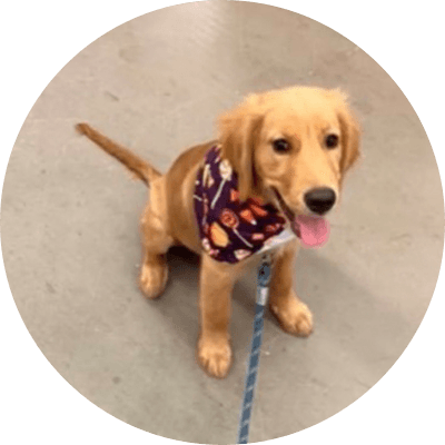 Barking Puppy logo