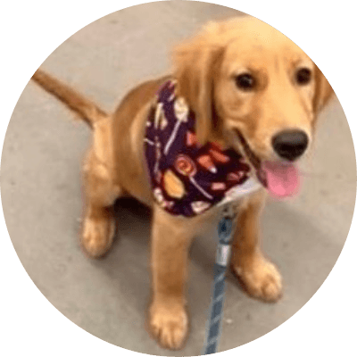 Barking Puppy logo