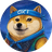 DOGE