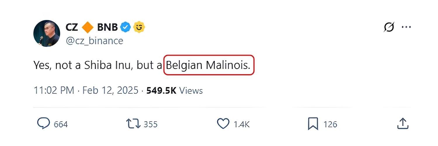 Belgian Malinois banner