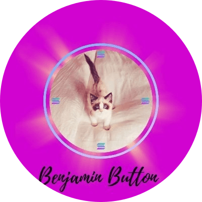 Benjamin Button logo