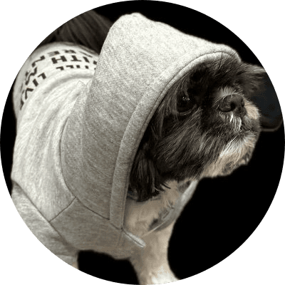 $Benji logo
